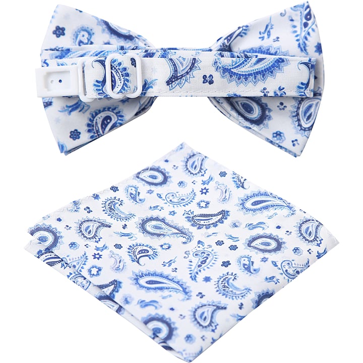 Henk ter Horst 100% katoenen vlinderstrik met kleine paisley print Blauw